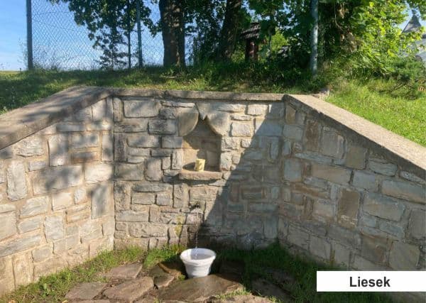 Liesek1.jpg